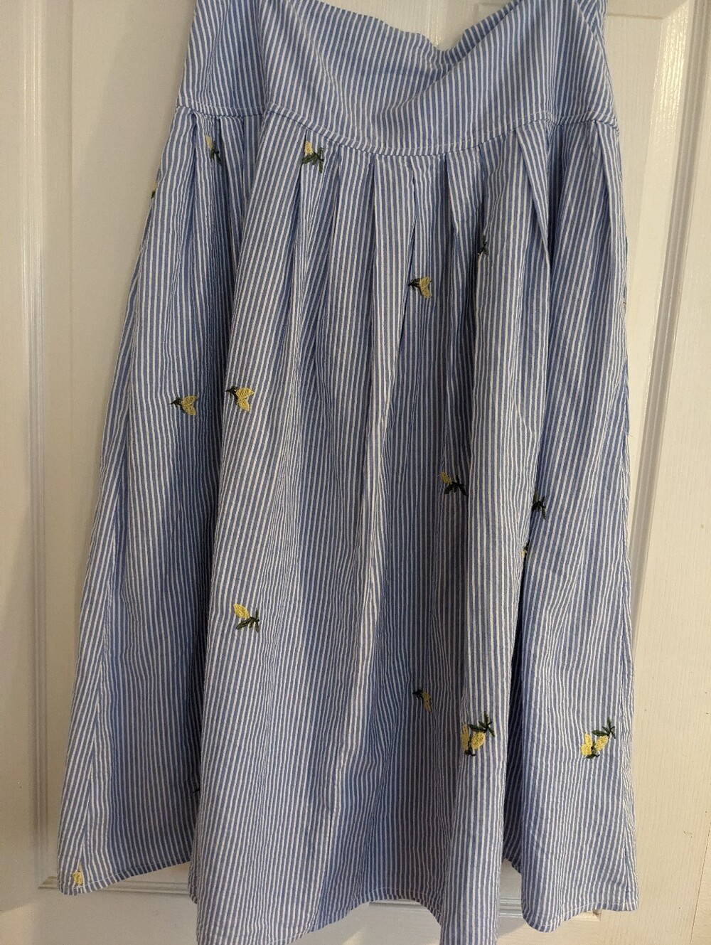 Blue Striped Embroidered A-Line Skirt With Lemon Embroidery